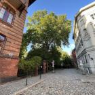 zdjęcie nr 8