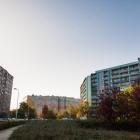 zdjęcie nr 35
