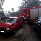 Fotka nr 4 z 8