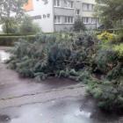 zdjęcie nr 17