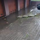 zdjęcie nr 11