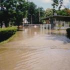 zdjęcie nr 36