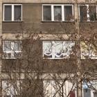 zdjęcie nr 11