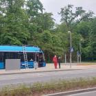 zdjęcie nr 5