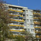 zdjęcie nr 7