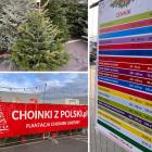 Plantacja Choinek GREENEX przy hipermarkecie Kaufland przy ul.Długiej 37/47. 
Ceny...