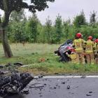zdjęcie nr 7