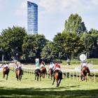 zdjęcie nr 9
