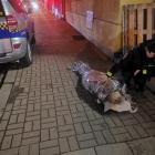 Interwencja straży miejskiej  Autor: Straż Miejska Wrocławia