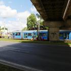 zdjęcie nr 12