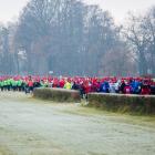 zdjęcie nr 14