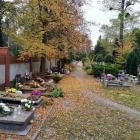 zdjęcie nr 31