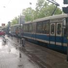 Fotka nr 2 z 5
