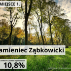 zdjęcie nr 10