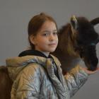 Dolnośląskie Targi Zoologiczne / fot. Kinga Mierzwiak