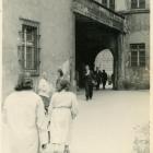 zdjęcie nr 19