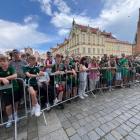 zdjęcie nr 8