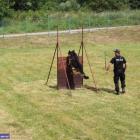   Autor: Dolnośląska Policja