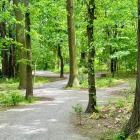 Park Swojczycki Czarna Woda, we Wrocławiu.  Autor: AP