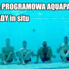 zdjęcie nr 10