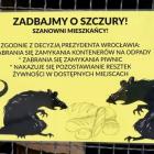 Fotka nr 1 z 2