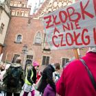 zdjęcie nr 12