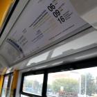 zdjęcie nr 11