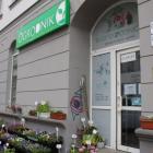 zdjęcie nr 8