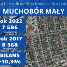zdjęcie nr 10