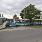 zdjęcie nr 10