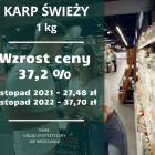 Fotka nr 3 z 21
