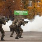 Fotka nr 1 z 26