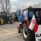 zdjęcie nr 15