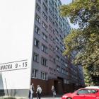 zdjęcie nr 8