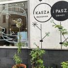 zdjęcie nr 11