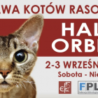 Wystawa Kotów Rasowych w Hali Orbita 
 
Na wystawach zobaczymy aż 40 ras kotów -...