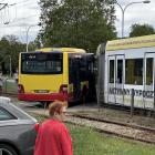 zdjęcie nr 15