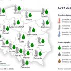 Prognoza pogody Wrocław: święta, Nowy Rok  Autor: pixabay.com