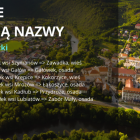 zdjęcie nr 10