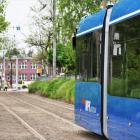 zdjęcie nr 9