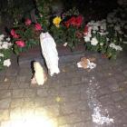 Dewastacja w Halloween. Ucierpiał kościół w Wierzbicach  Autor: OSP Pustków Żurawski