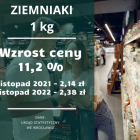 zdjęcie nr 19