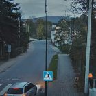 fot. Straż Miejska w Bogatyni/screen