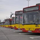   Autor: mgo