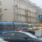 fot. Katarzyna 