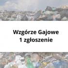 zdjęcie nr 10