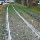 Na al. Hallera tramwaje wznoszą chmury pyłu i zostawiają ślady na tzw. zielonym...