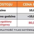 zdjęcie nr 8