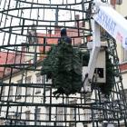 Montaż nowej choinki na wrocławskim Rynku  Autor: Łukasz Woźnica
