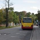 zdjęcie nr 17